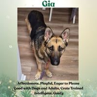 Gia - Photo 3