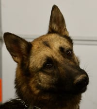Gia - Photo 9