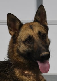 Gia - Photo 8