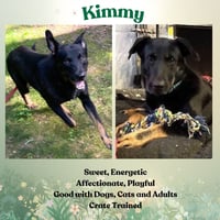 Kimmy - Photo 2