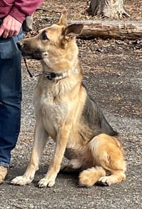 Jango - Photo 21