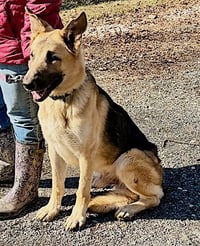 Jango - Photo 3