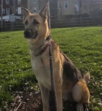 Jango - Photo 12
