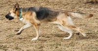 Jango - Photo 18