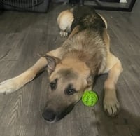 Jango - Photo 10
