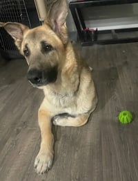 Jango - Photo 11