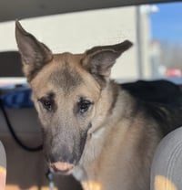 Jango - Photo 14