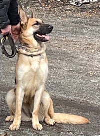 Jango - Photo 22