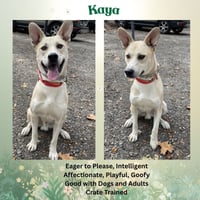 Kaya - Photo 7
