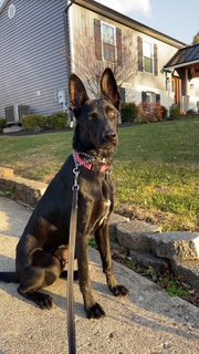 Cyrus - Photo 15
