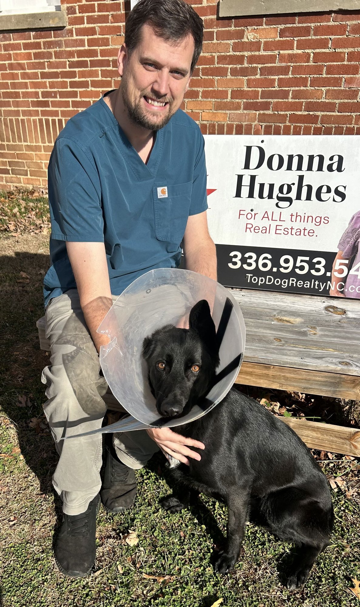 NOEL - German Shepherd Dog available for adoption