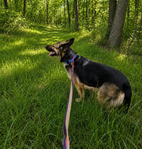 Margret - Photo 5