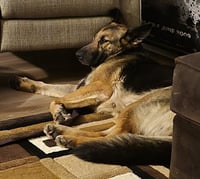 Margret - Photo 8