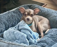 Otis - Photo 9