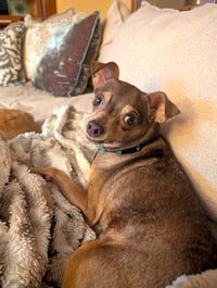 Otis - Photo 4