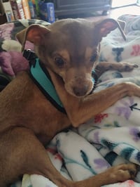 Otis - Photo 12
