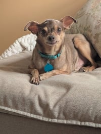 Otis - Photo 8
