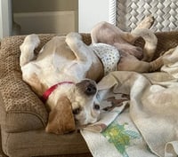 Waylon - Photo 5