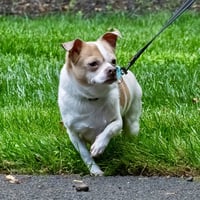 Lulu - Photo 6