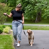 Rosie - ADOPTED! - Photo 11
