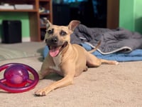 Polly - Photo 11