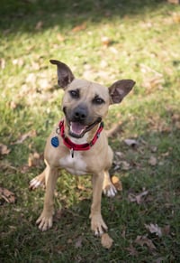Polly - Photo 6