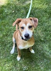 Shaggy - Photo 5
