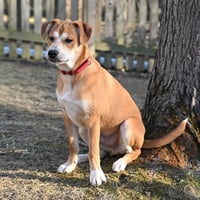 Shaggy - Photo 9