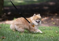 Davis - Photo 6