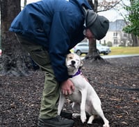 Buster - ADOPTED! - Photo 4