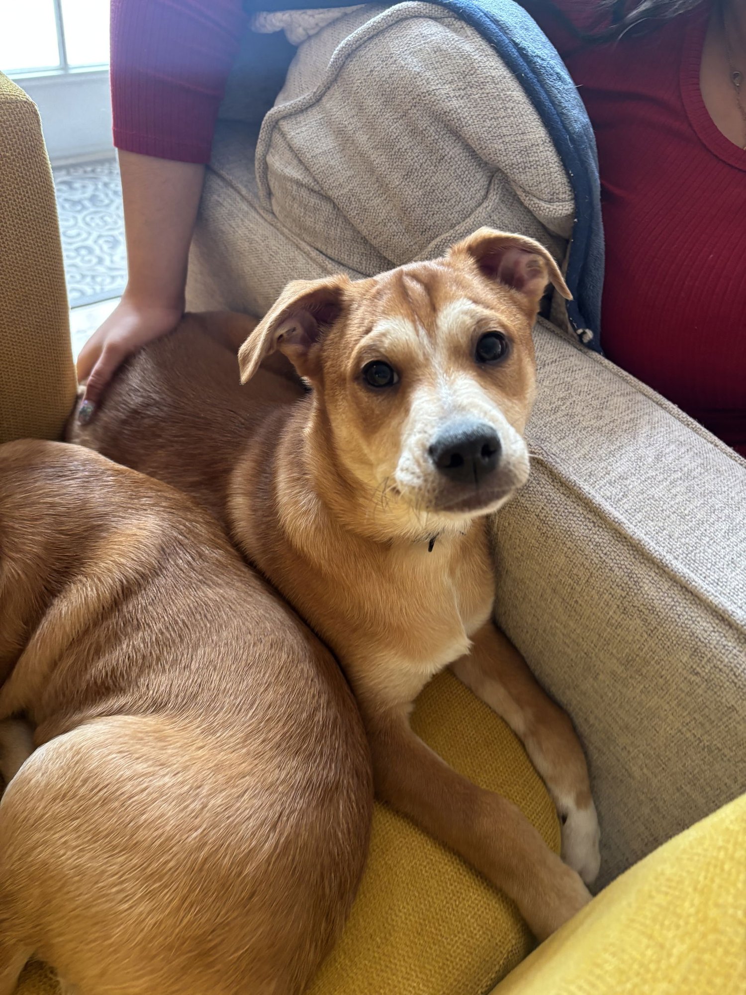 Shaggy - Photo 3