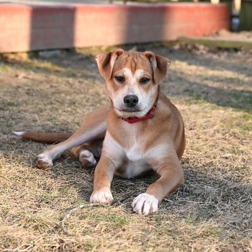 Shaggy - Photo 5