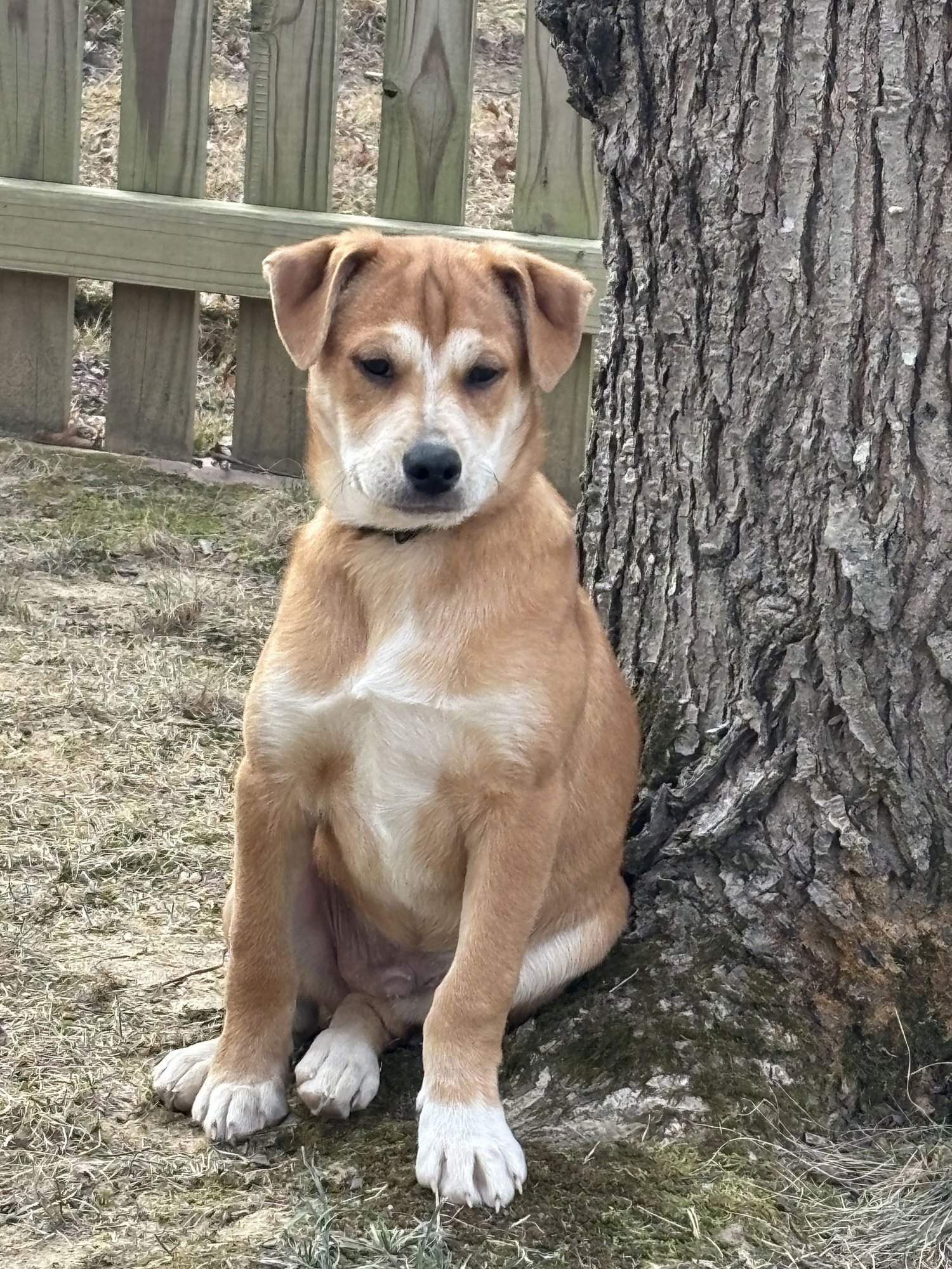 Shaggy - Photo 7