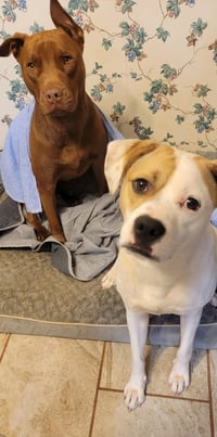 Buster - Photo 5