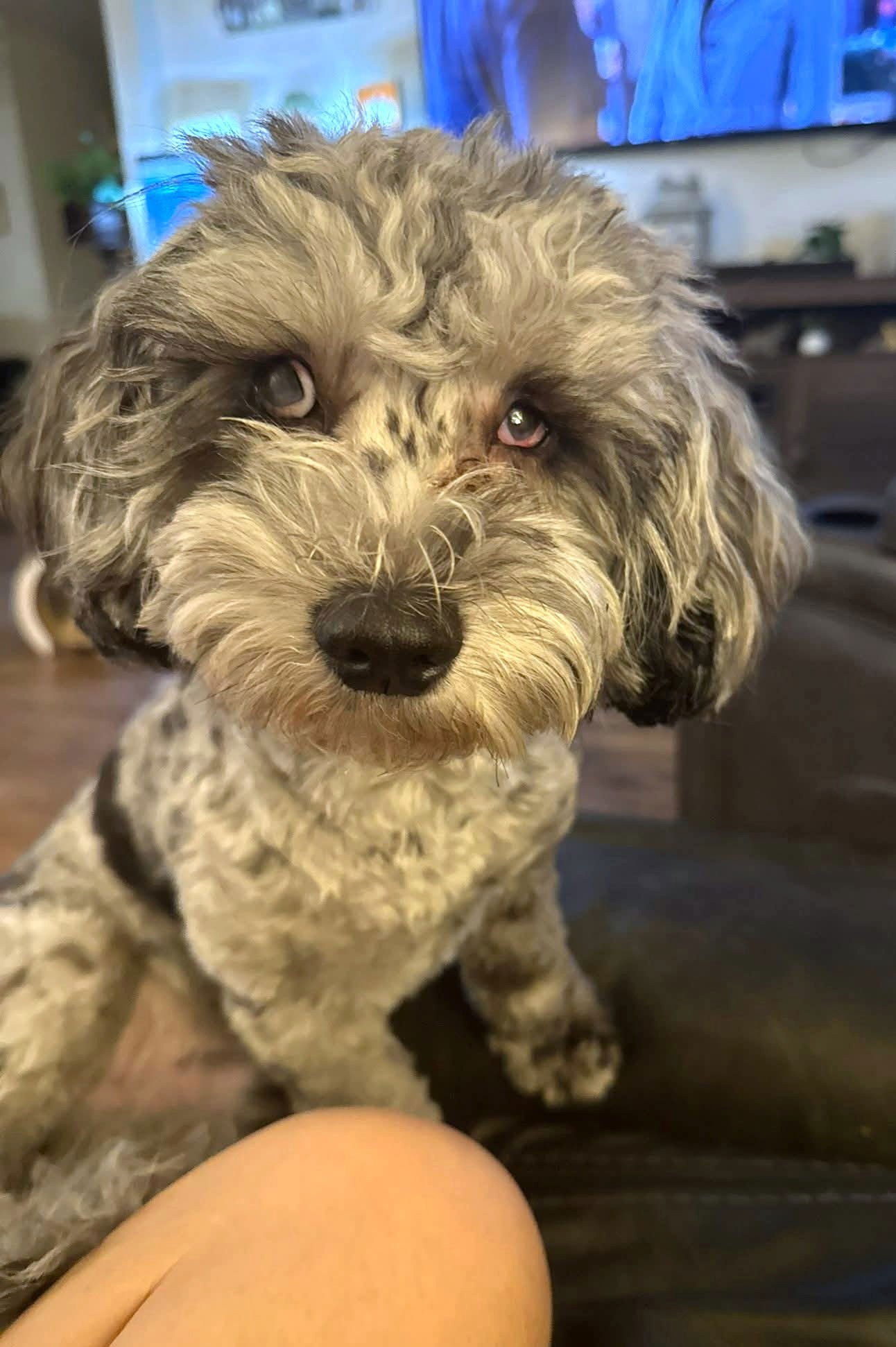 Charlie - Photo 2