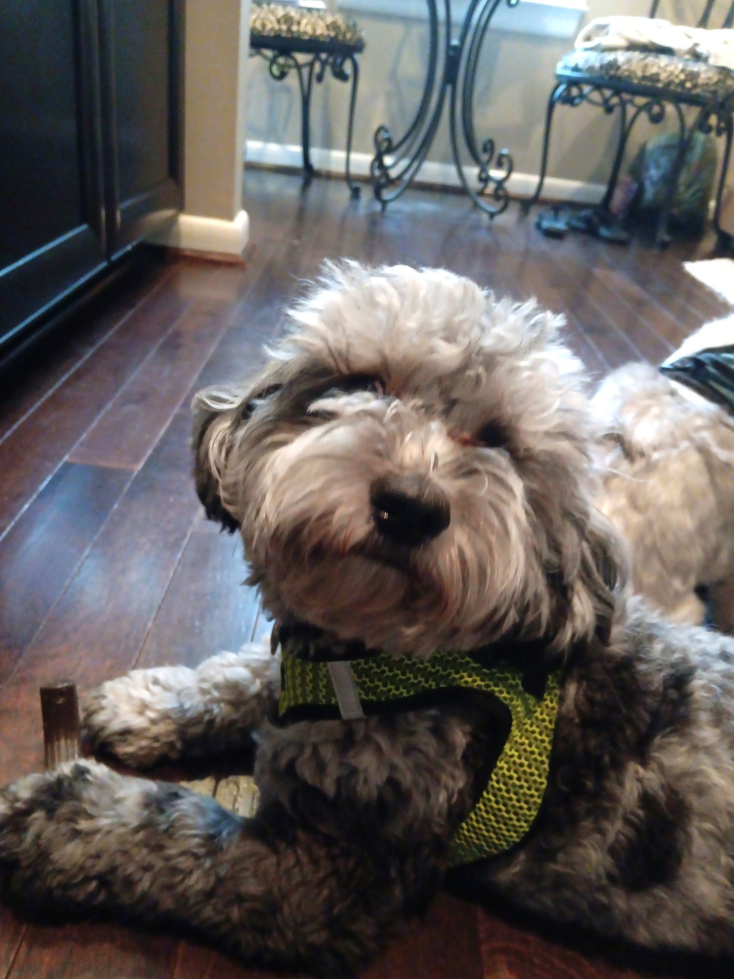 Charlie - Photo 5