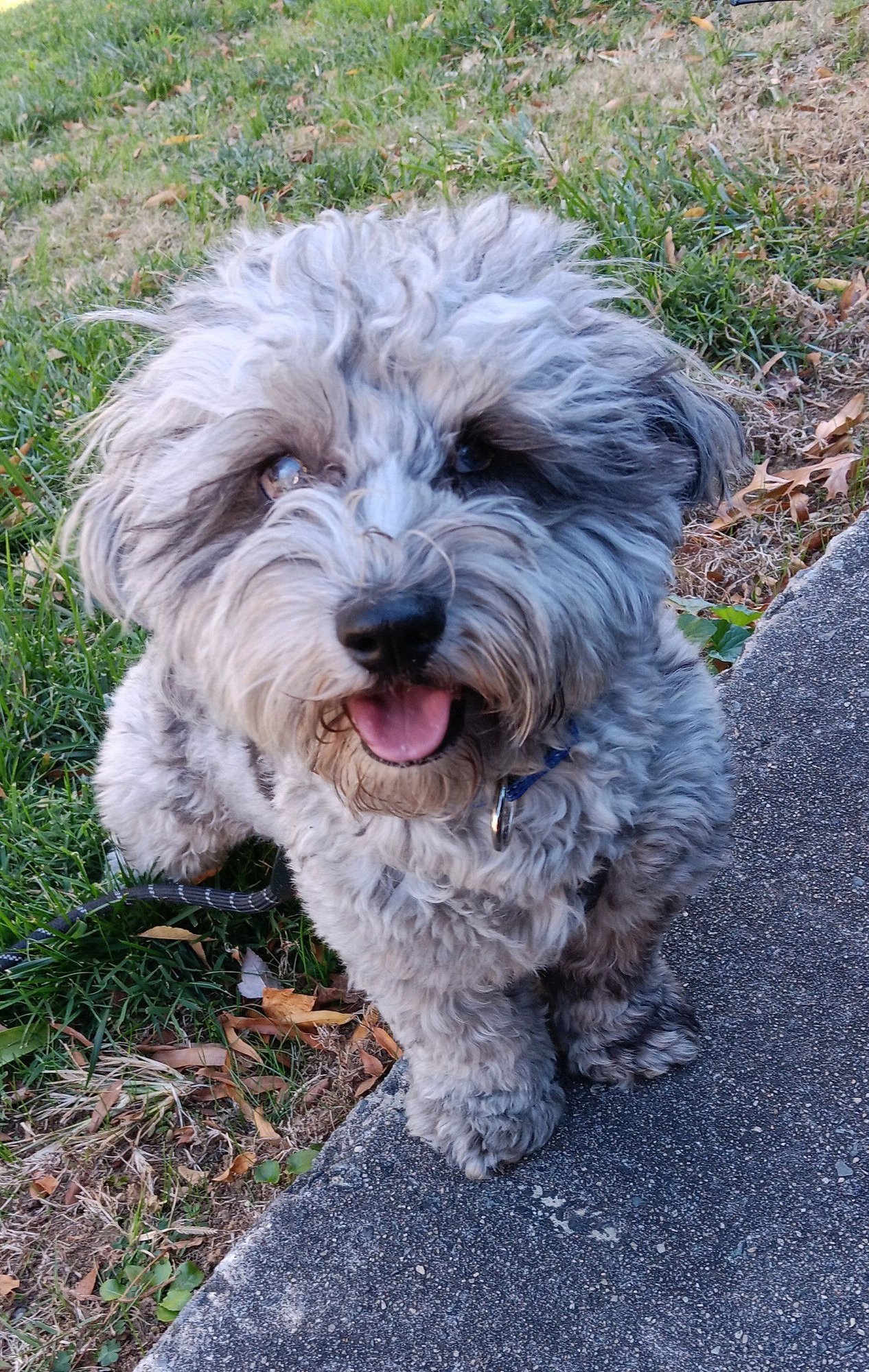 Charlie - Photo 6