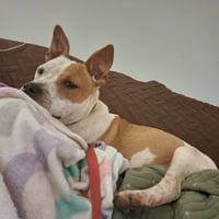JoJo - Photo 7
