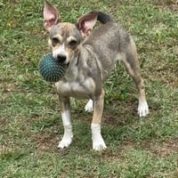 Wilson - Photo 8