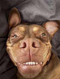 Twix - Photo 8