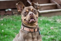 Twix - Photo 11