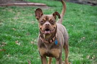 Twix - Photo 2