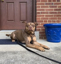 Twix - Photo 7