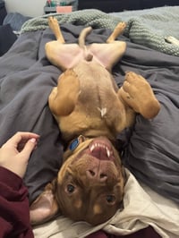 Twix - Photo 3