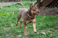 Twix - Photo 9