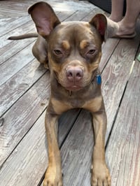 Twix - Photo 10