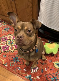 Twix - Photo 5