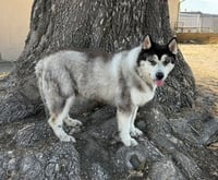 ISABELA - Photo 1