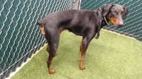DARLA - Photo 1