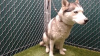 TARRAH - Photo 1